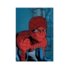 Homem aranha 6