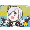 SAK MENE