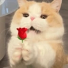 Reaja com eles 🥺 11