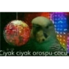 Turkish meme devasa paket  6