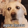 agora lascou