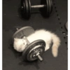Gym 💪 5