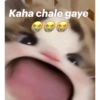Hehe 22