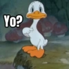 Yo?