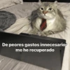 De peores gastos innecesarios me he recuperado
