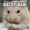 BACOT BABI 虹号: 10
