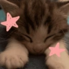 🎀🐱 Los gatitos 🐱🎀 10