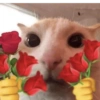 Animais com Emoji de Flor 🌹 6