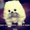 PACK DE FIGURINHAS: 01 28