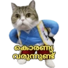 കാങ്കോൽ അഷ്‌റഫ്‌ 12