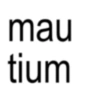 mau tium