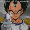 Pelo visto já liberaram as rodovias Pq eu to vendo duas entradas gigantescas aqui