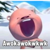 Awokawokwkwk