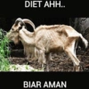 Idul adha kurban 14