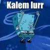Kalem lurr