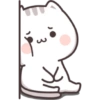 Kucing gemoy 9