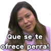 Que se te geysioy ofrece perra!
