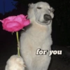 for you