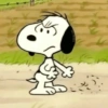 🐾Snoopy enojado 😡 2 🦴 13