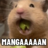 MANGAAAAAN