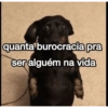 quanta burocracia pra ser alguém na vida