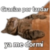 🐱 Gatitos En Secuencia🧩 10