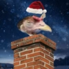 Memes engraçados de natal🎄 20
