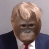 Monos random 🐒🦍 24