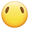 Funny Emoji iPhone 2 📱 14