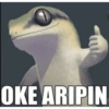 OKE ARIPIN