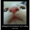 @borekpp dudagini isirmamam icin sebep sanirim yok