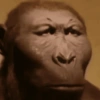Bombastis side eye  8