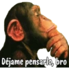 Monos random 🐒🦍 30