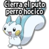 Cierra el puto perro hocico
