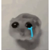 Tu gran hamsters  12