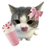 Cat meme makanan 🐈 13