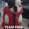Reações frio 🥶 12