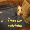 Reações frio 🥶 5