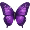 Emoji iPhone / ios purple  13