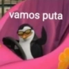 vamos puta