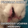 Meme Salting Lucu 6