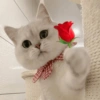 Animais com Emoji de Flor 🌹 21