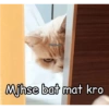 Cattiesays 😺🐈 30