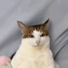Comentários do TikTok ✨🙂 27