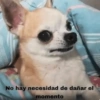 No hay necesidad de dañar el momento