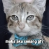 Ngambek 18