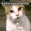 Kucing Gemoyyy 7