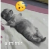 A MIMIR 7
