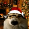 Memes de natal 🎅🌲 15