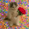 💞💖 AMOR 2 💖💞 9
